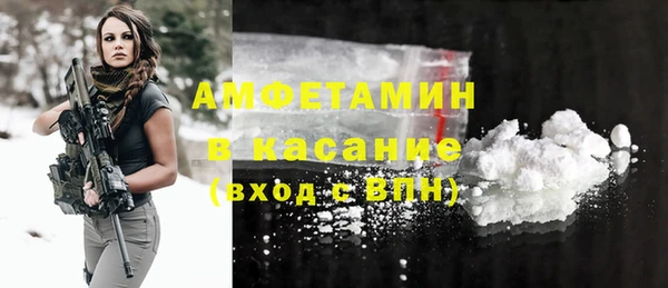 ешки Алексин