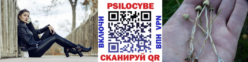 Галлюциногенные грибы мицелий  Гуково 