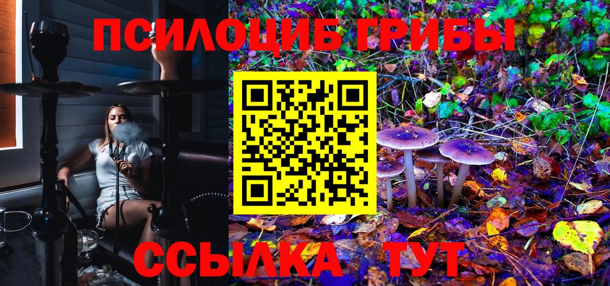 где купить   Псилоцибиновые грибы MAGIC MUSHROOMS  Вход с VPN  Гуково 